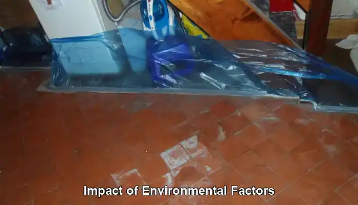 Impact of Environmental Factors