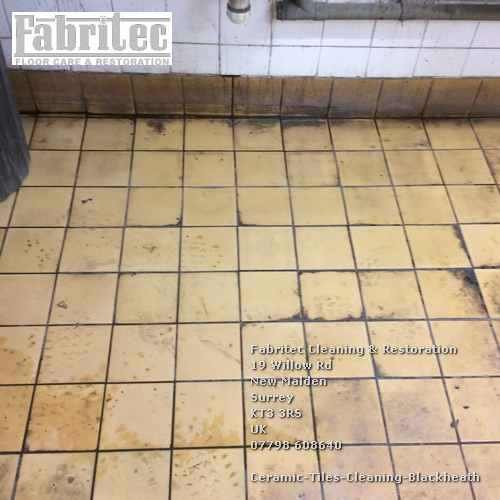 wonderful Ceramic Tiles Cleaning Service In Blackheath Blackheath