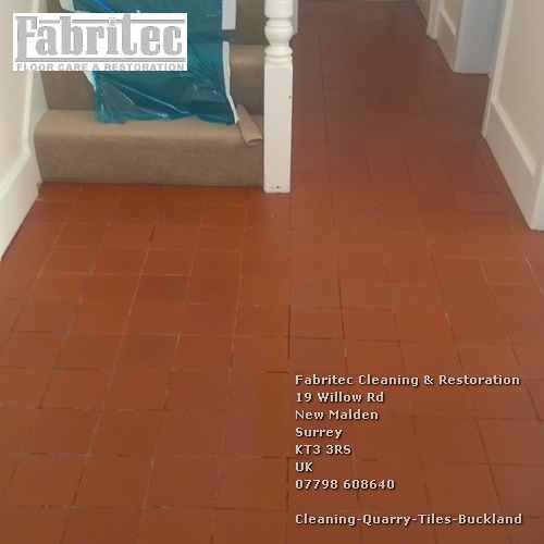 unforgettable Quarry Tiles Cleaning Service In Buckland Buckland