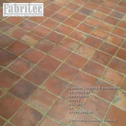 remarkable Terracotta Cleaning Service In Dorking Dorking