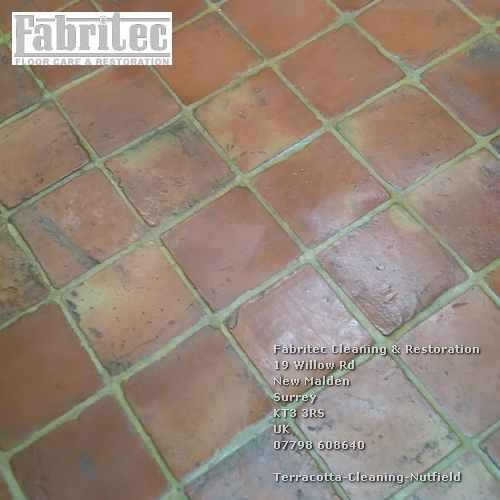 skilled professional Terracotta Cleaning Service In Nutfield Nutfield