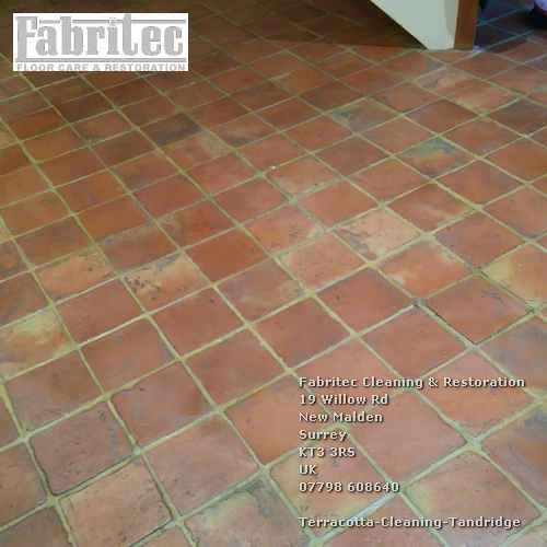 extraordinary Terracotta Cleaning Service In Tandridge Tandridge