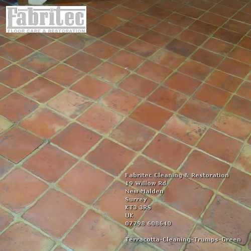 striking Terracotta Cleaning Service In Trumps Green Trumps-Green