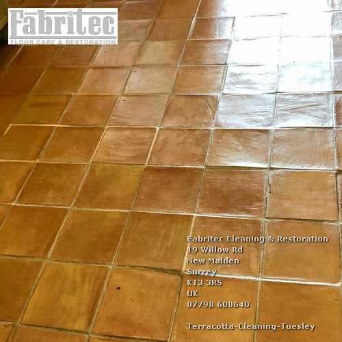 superior Terracotta Cleaning Service In Tuesley Tuesley