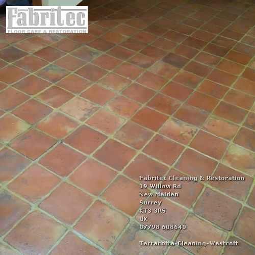 superior Terracotta Cleaning Service In Westcott Westcott